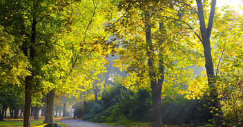 Gutes Wetter lädt ein zum Pilgern im Stadtpark - Copyright: Andrew Buckin - Fotolia.com