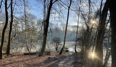 Teich im Wald mit Morgenlicht und Bank - Copyright: Rosemarie Schöch