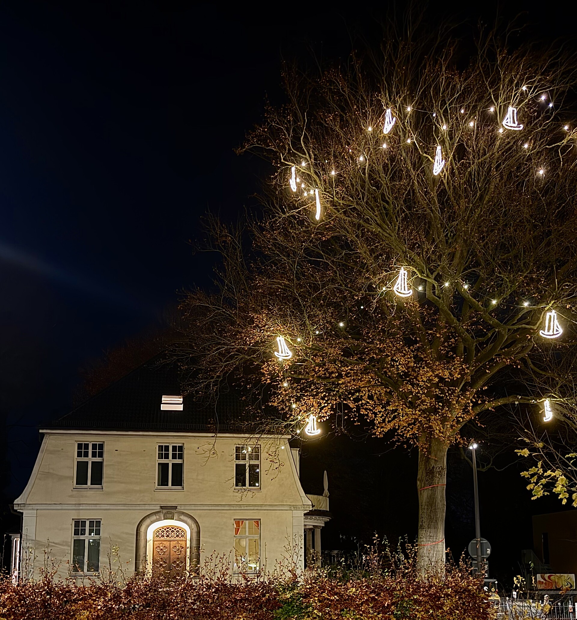 Haus von der Straße fotografiert mit einem Baum, der weihnachtlich beleuchtet ist