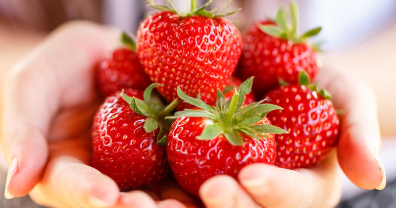 Frische Erdbeeren – auch das kann ein letzter Wunsch sein