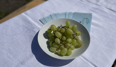 Weintrauben als Tischdekoration