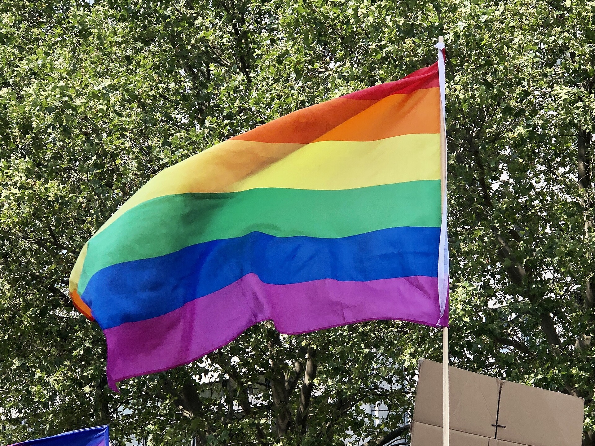 Eine Regenbogenfahne auf einem CSD