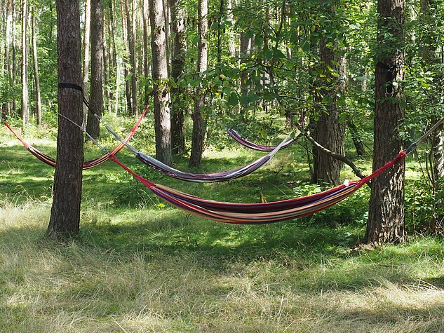 Hängematten im Zeltlager im Wendland