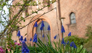 Frühlingsmotiv Kreuzkirche: blühende Blumen - Copyright: Karen Diehn