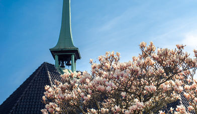 Tonndorfer Glockenturm und blühender Magnolienbaum - Copyright: Sebastian Geiß-Polnau