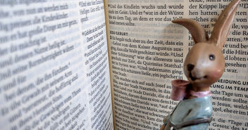 Bibel mit Osterhase - Copyright: © Hagen Grützmacher