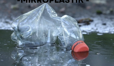 zerknickte Plastikflasche in einer Pfütze - Copyright: Britta Willig