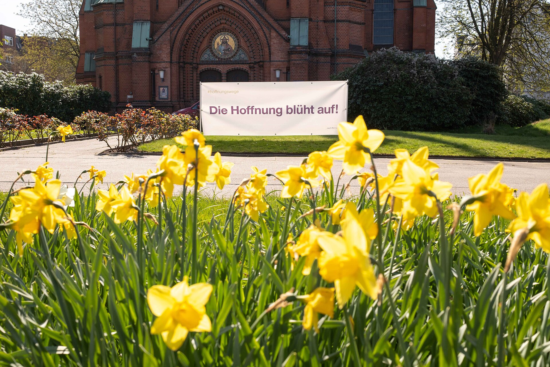Osterglocken blühen vor einer Kirche in Hamburg