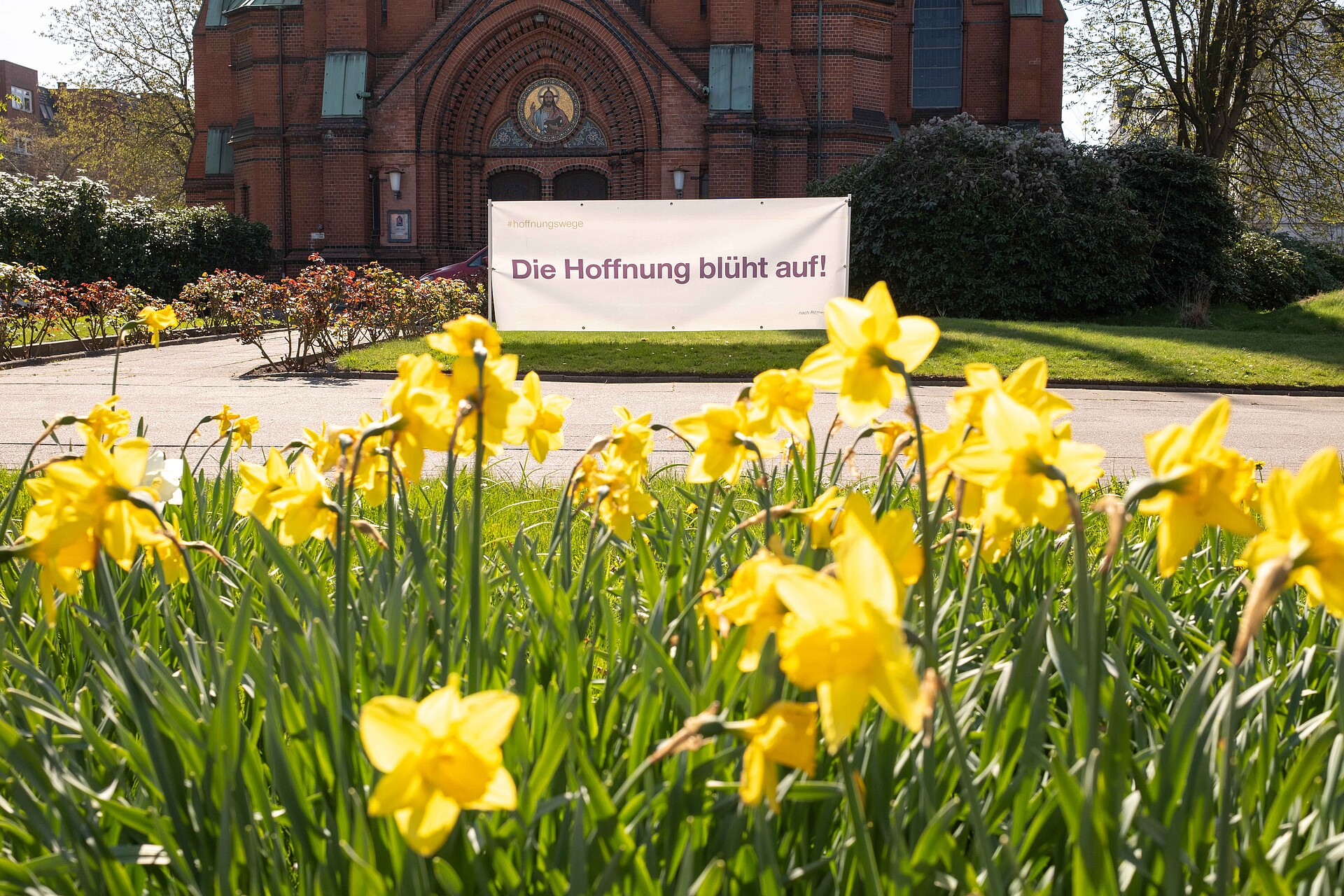 Osterglocken blühen vor einer Kirche in Hamburg
