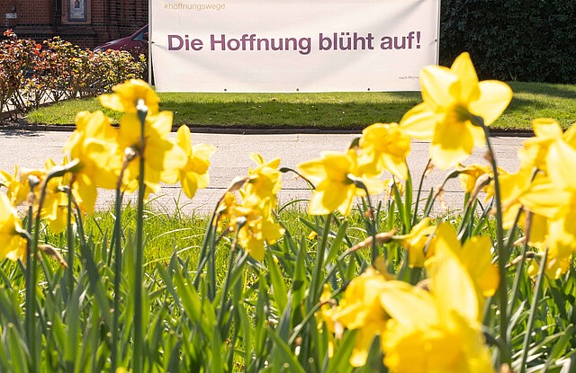 Osterglocken blühen vor einer Kirche in Hamburg