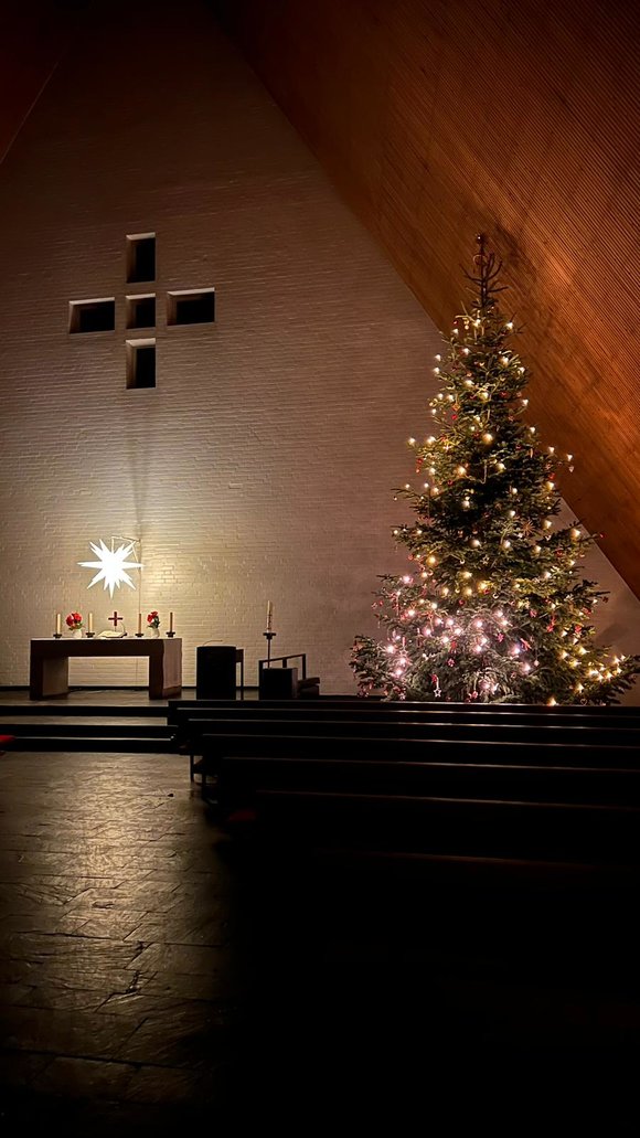 Der Weihnachtsbaum steht und leuchtet