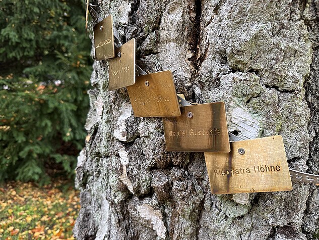 Die Namenspaletten verstorbener Hinz und Kunzt Mitarbeitender