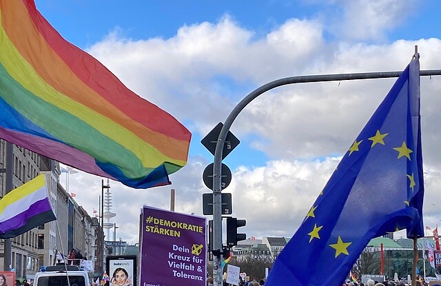 Menschenmenge und Fahnen bei einer Demonstration in Hamburg für Demokratie.