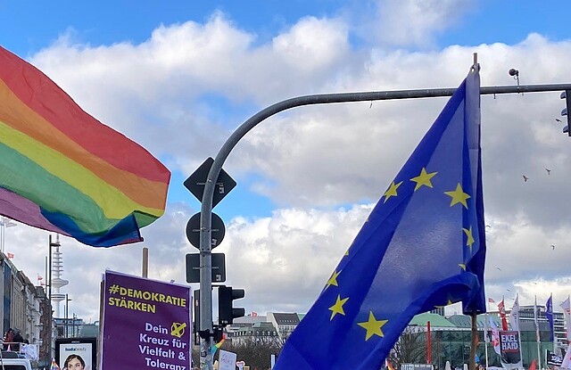 Menschenmenge und Fahnen bei einer Demonstration in Hamburg für Demokratie.