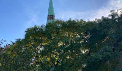 Kirche St. Marien versteckt hinter Bäumen - Copyright: Britta Eger