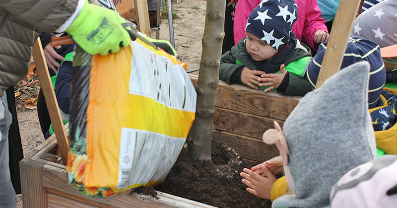 Kinder pflanzen einen Apfelbaum in Hamburg