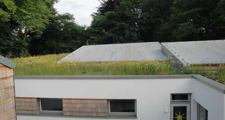 Begrüntes Dach der Kita - © Dorothea Neddermeyer - Copyright: Dorothea Neddermeyer