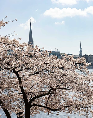 Himmelfahrt & Pfingsten feiern