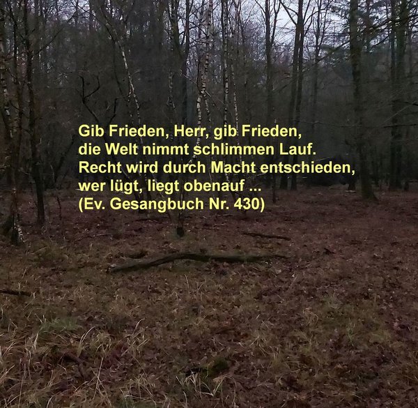 Dunkler Wald mit Spruch: "Gib Frieden, Herr, gib Frieden" aus dem Gesangbuch Lied Nr. 430 - Copyright: Peter Fahr