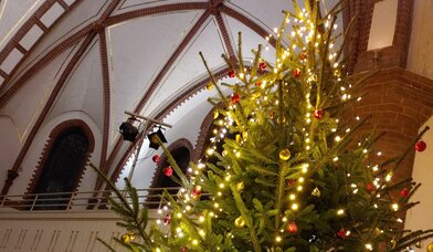 Weihnachtsbaum in der Kreuzkirche - Copyright: Ulla Grün