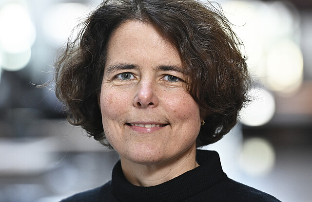 Prof. Dr. Kristin Merle