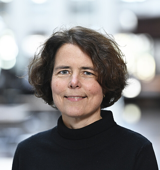 Prof. Dr. Kristin Merle