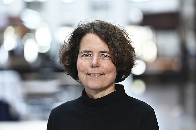 Prof. Dr. Kristin Merle