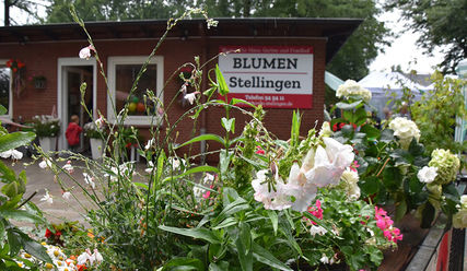 Die neuen Verkaufsräume von 'Blumen Stellingen' sind nun leichter für Laufkundschaft auffindbar. - © Monika Rulfs - Copyright: Monika Rulfs