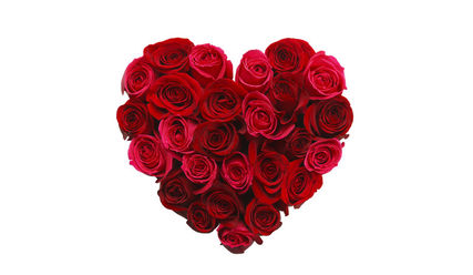 Der Michel hat (nicht nur ) am Valentinstag ein Herz für Paare - Copyright: pixelrobot/fotolia