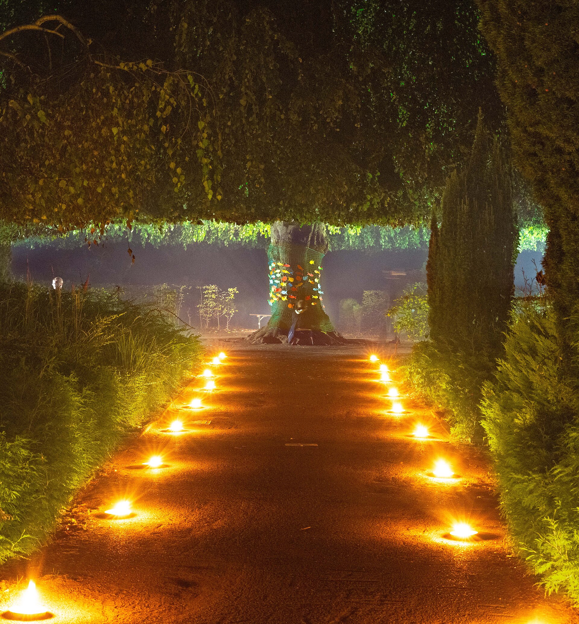 Der illuminierte Friedhof Stellingen zur Nacht der Kirchen