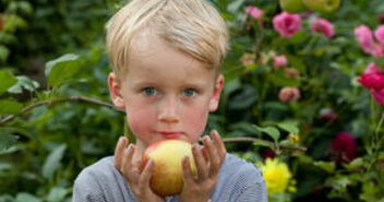 Apfelschätze entdecken - Symbolbild: Thomas Krätzig - Copyright: Thomas Krätzig, Kirchenkreis Hamburg-Ost