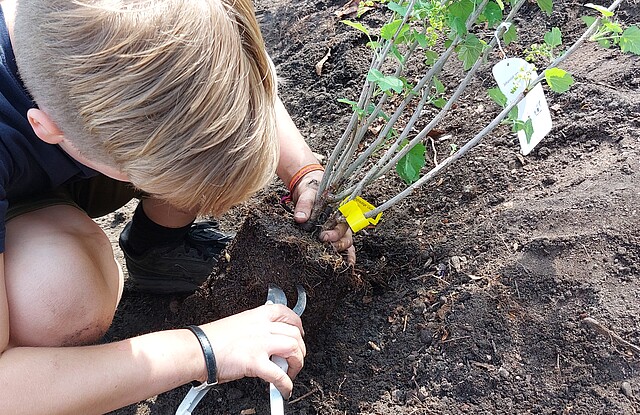 Krokusse im Frühling vor der St.-Paulus-Kirche Heimfeld 