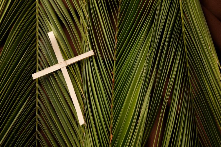 Palmenblatt mit Kreuz