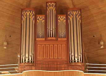 Orgel Kirche Tonndorf Frosch - Copyright: Sascha Lehmann